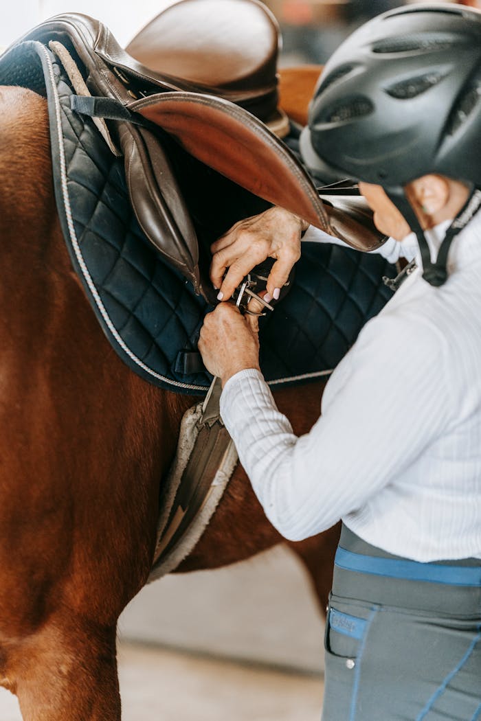 Woman Attaching Saddle on Horse